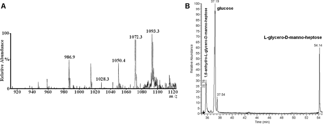 FIG. 5.