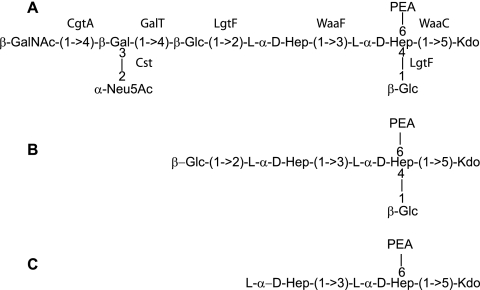 FIG. 1.