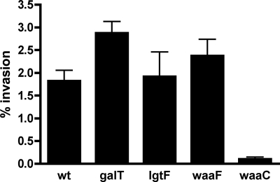 FIG. 7.