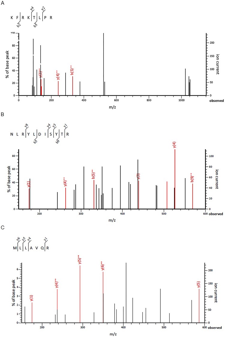 Fig 11