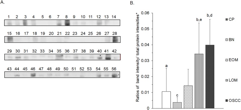 Fig 13