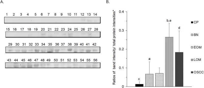 Fig 14