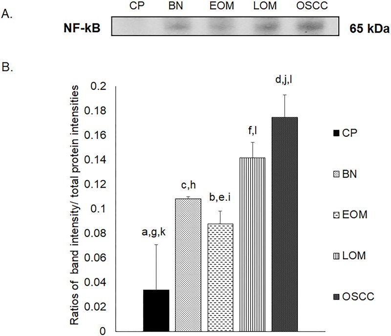 Fig 10