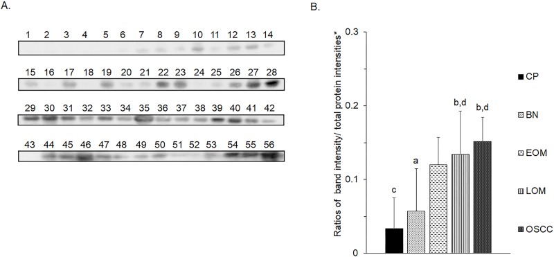 Fig 12