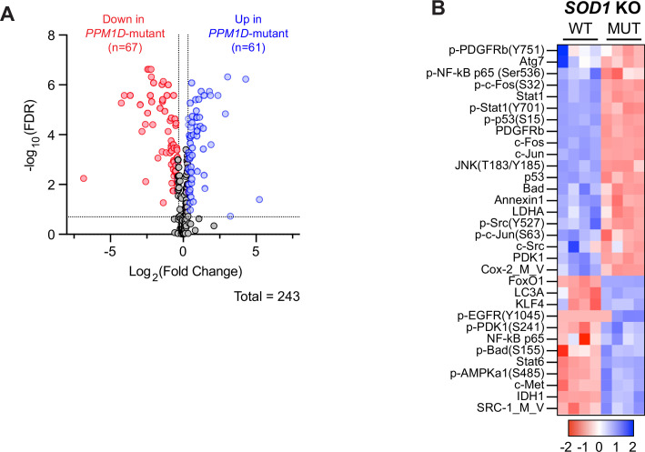 Figure 4—figure supplement 2.