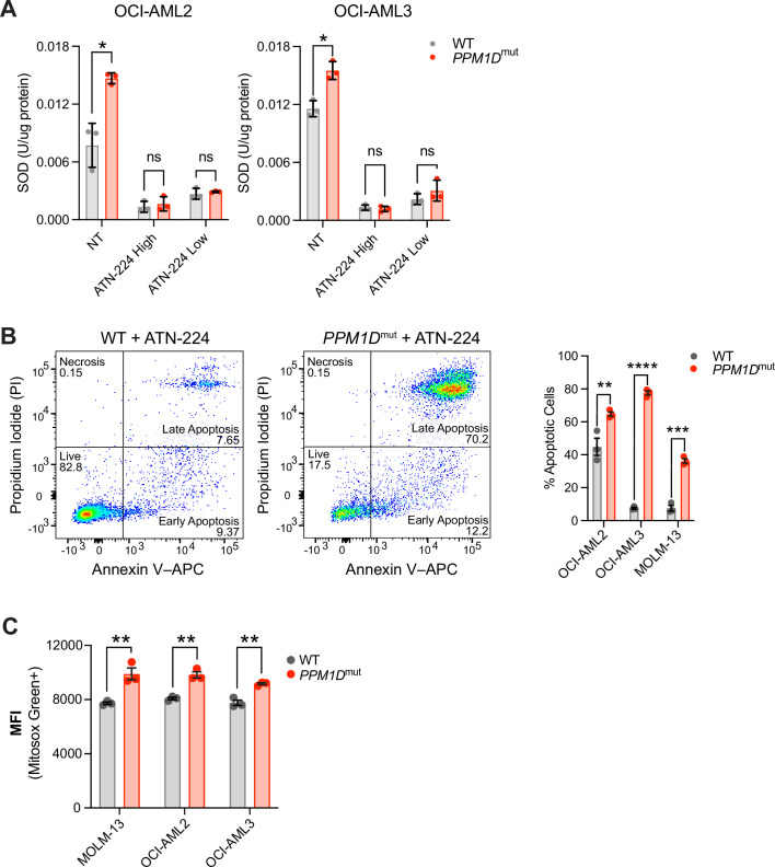 Figure 2—figure supplement 1.