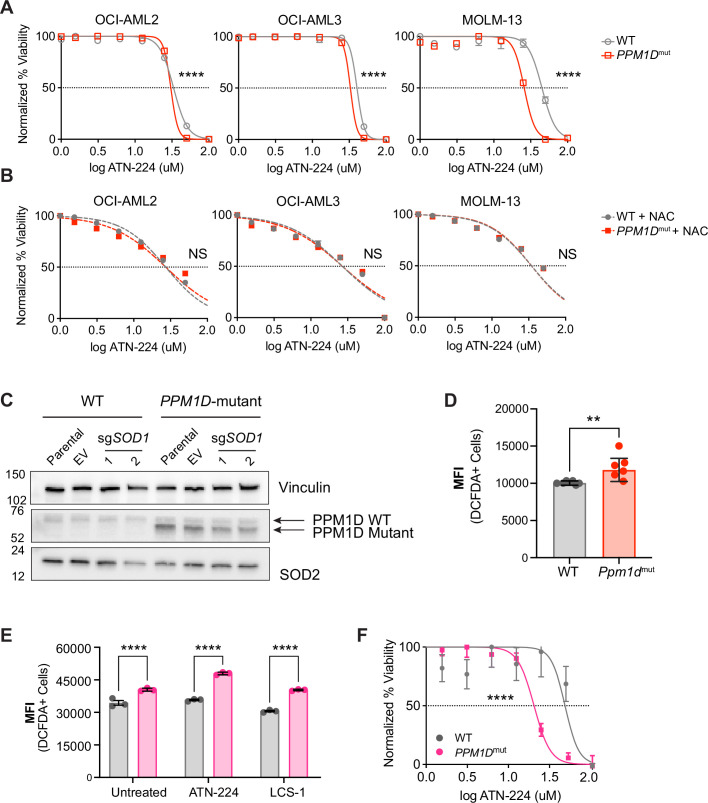 Figure 2—figure supplement 2.