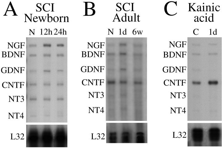 Fig. 10.