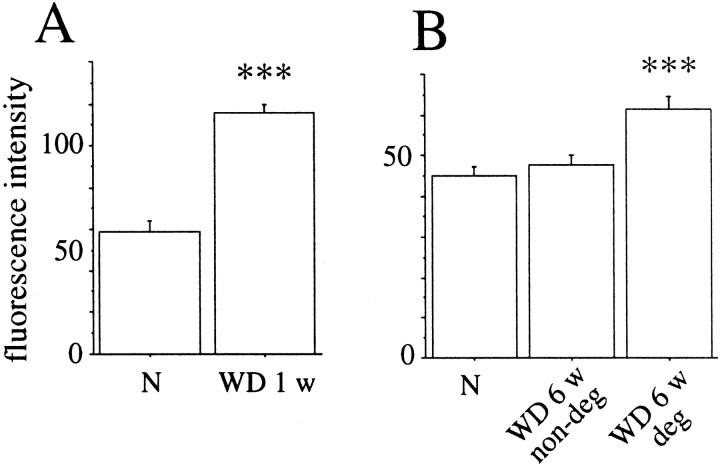 Fig. 14.