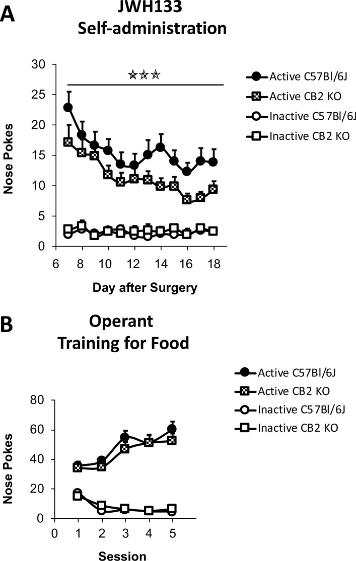 Figure 2—figure supplement 1.