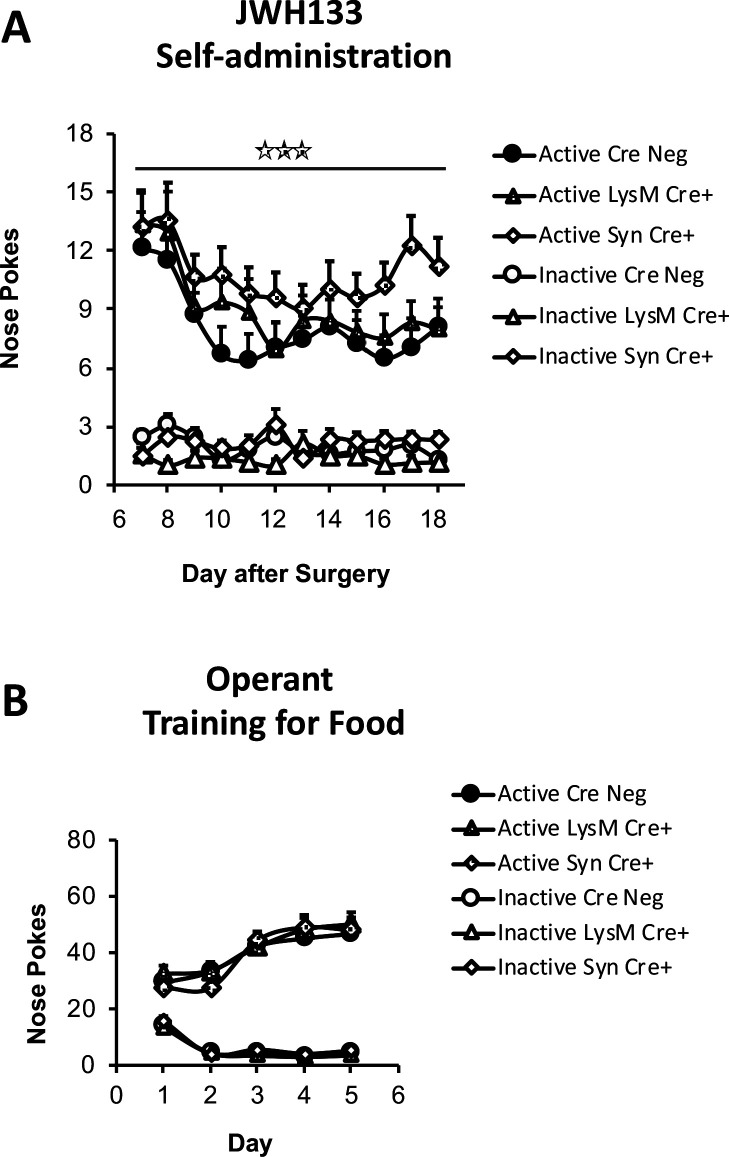 Figure 3—figure supplement 1.