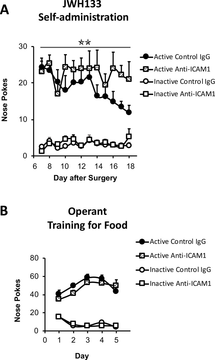 Figure 5—figure supplement 1.