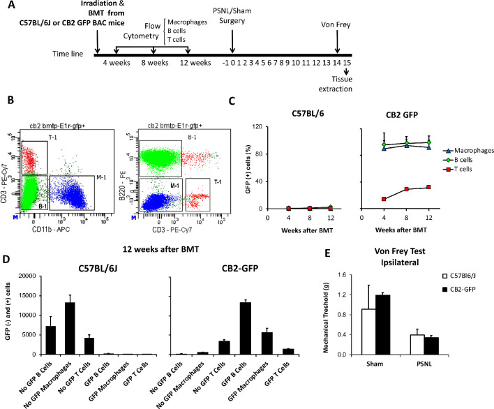 Figure 4—figure supplement 1.