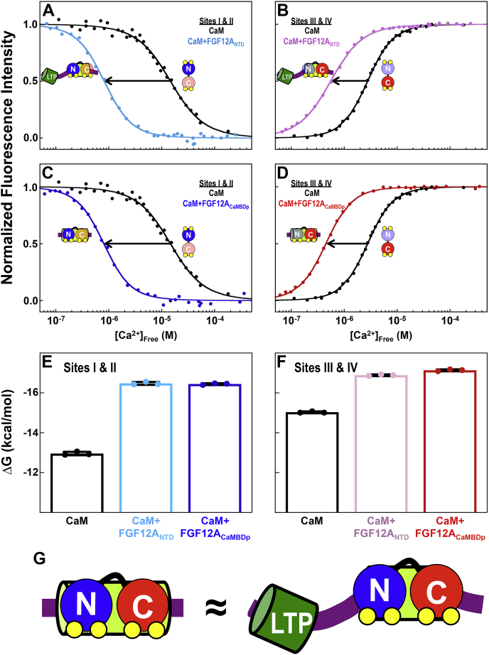 Figure 5