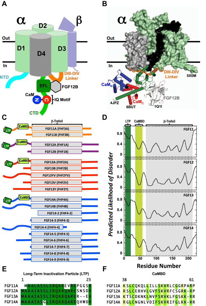 Figure 1