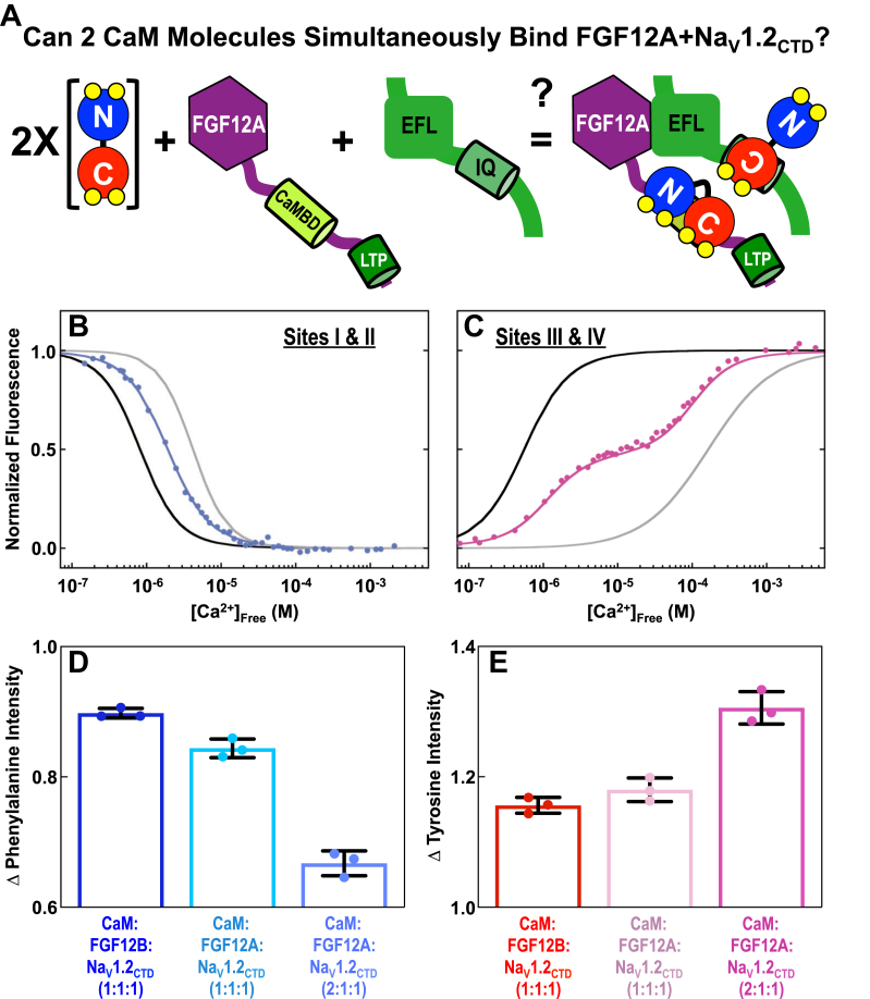 Figure 7