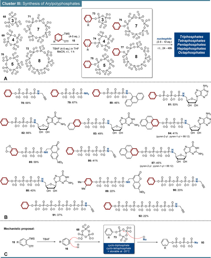 Scheme 5