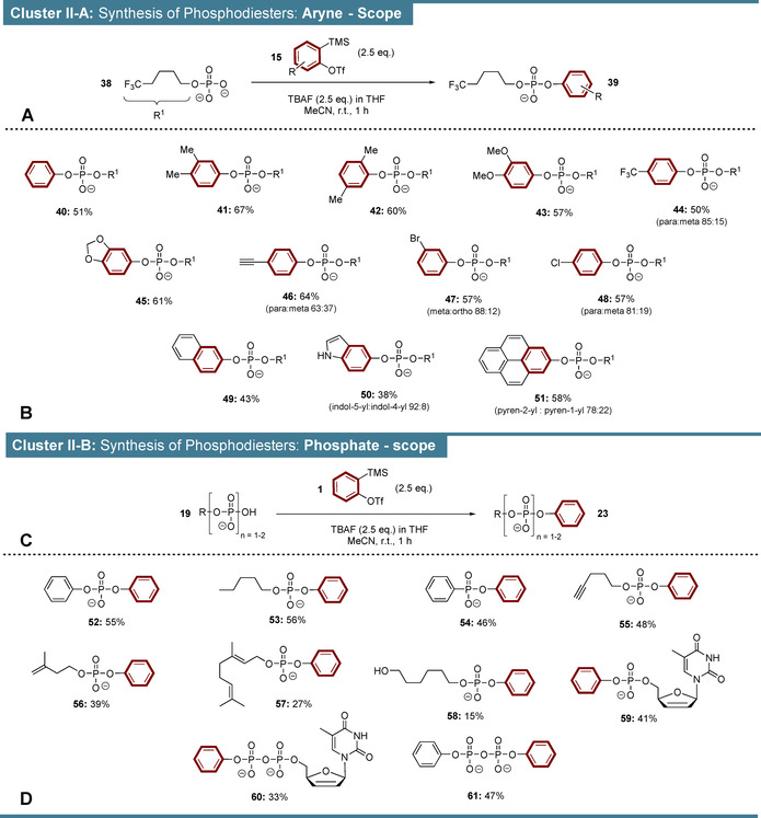 Scheme 3