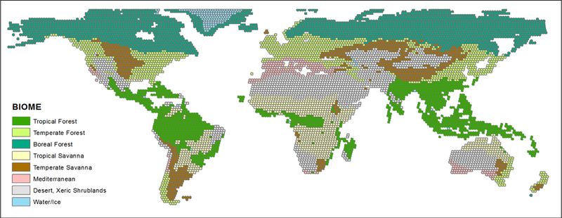 Figure 2: