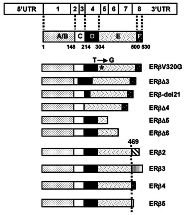 Fig. (4)