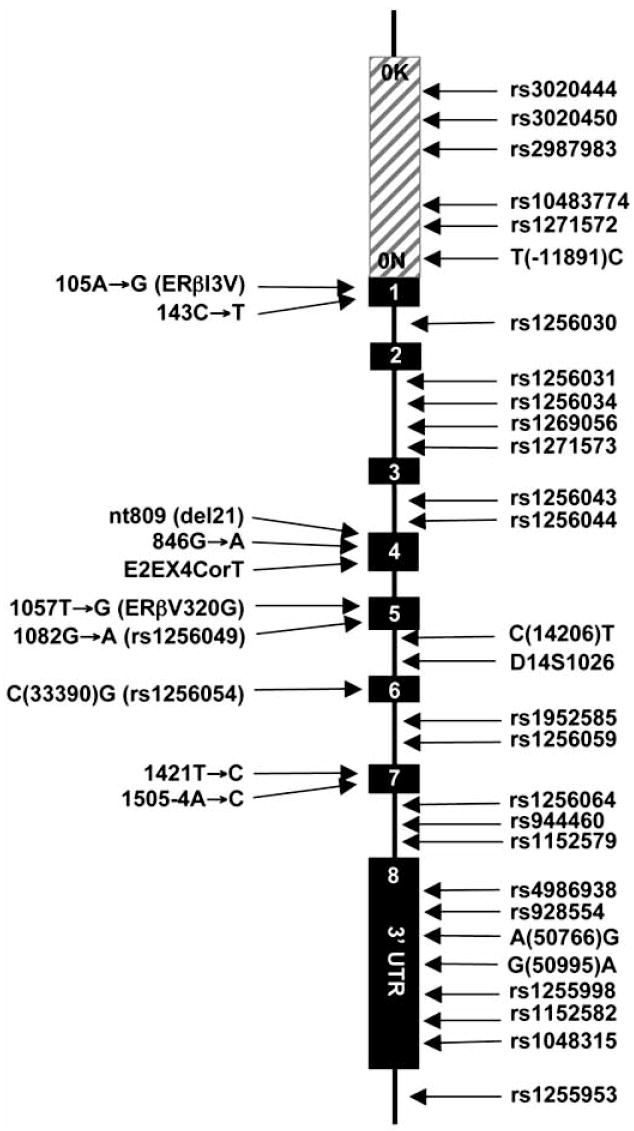 Fig. (3)