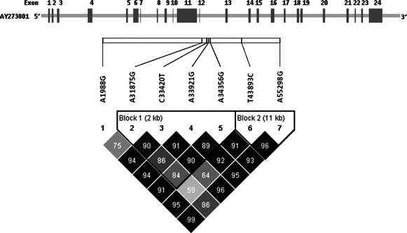 FIG. 1.