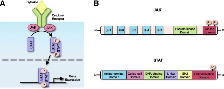 FIG. 1.