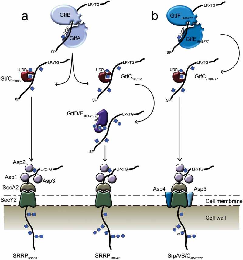 Figure 4.