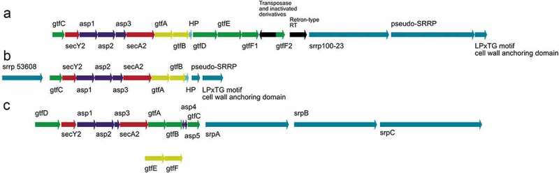 Figure 2.