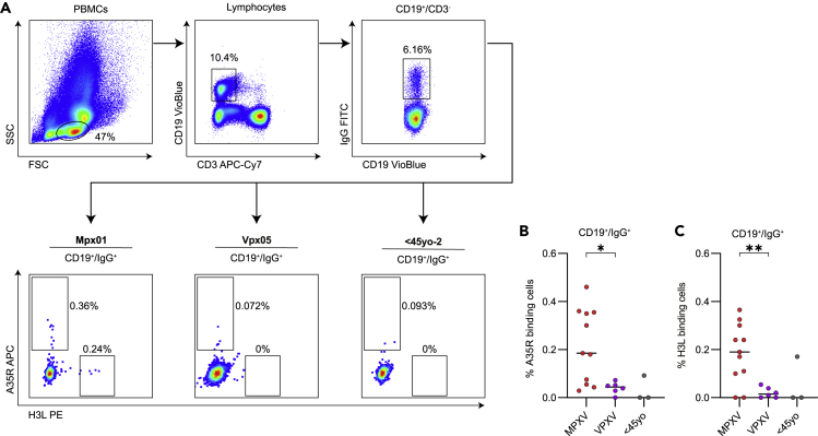 Figure 3