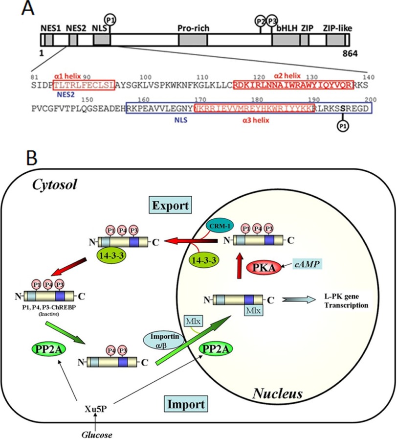 FIGURE 1.