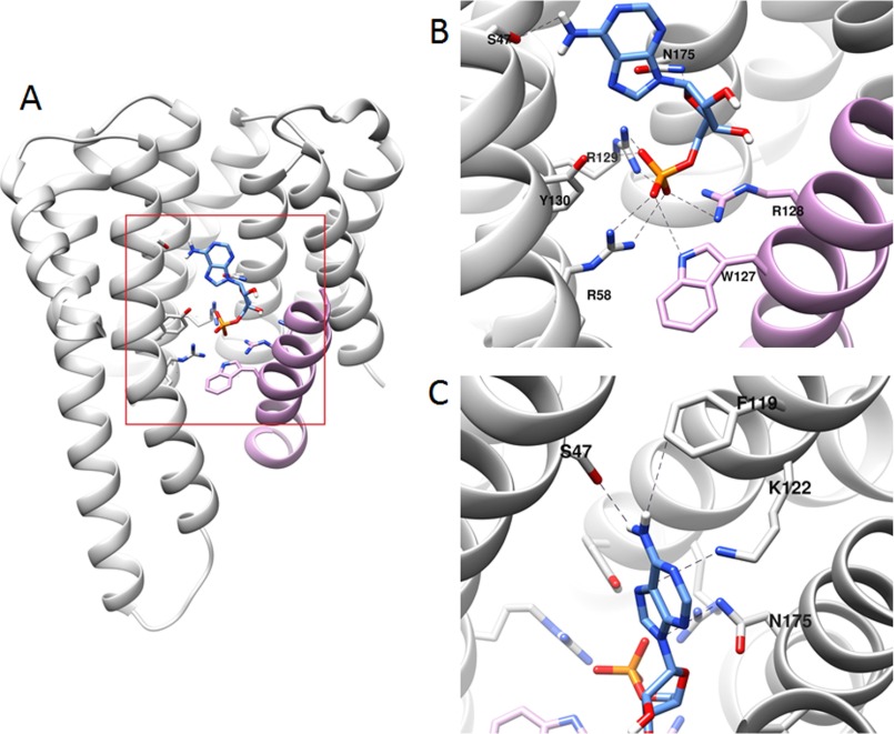 FIGURE 7.