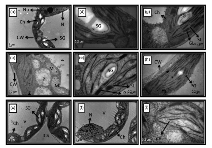 Fig. 9