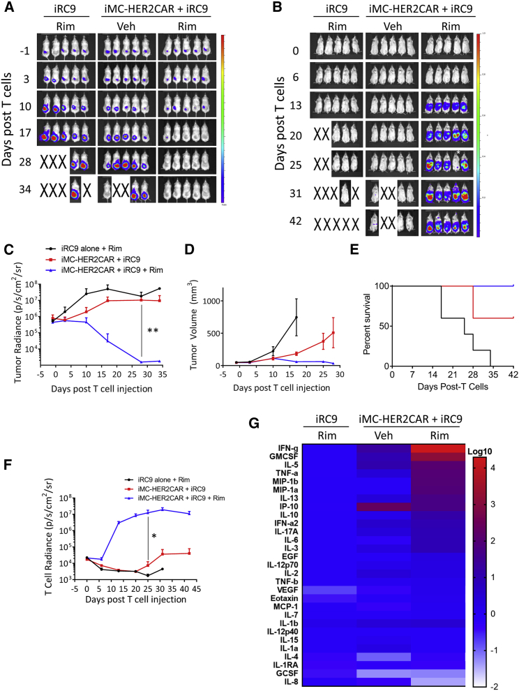 Figure 6