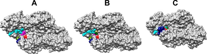 Figure 6