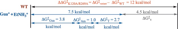 Scheme 4