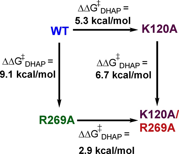 Scheme 3