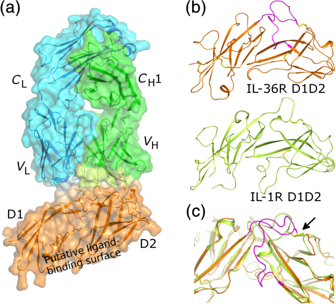 FIGURE 1