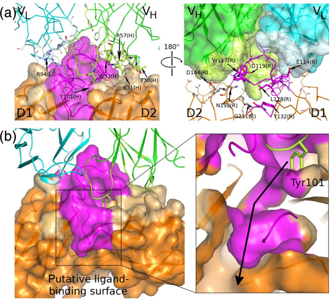 FIGURE 2