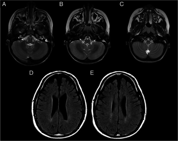 FIGURE 2