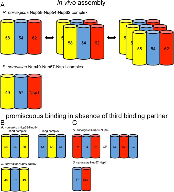 FIGURE 4: