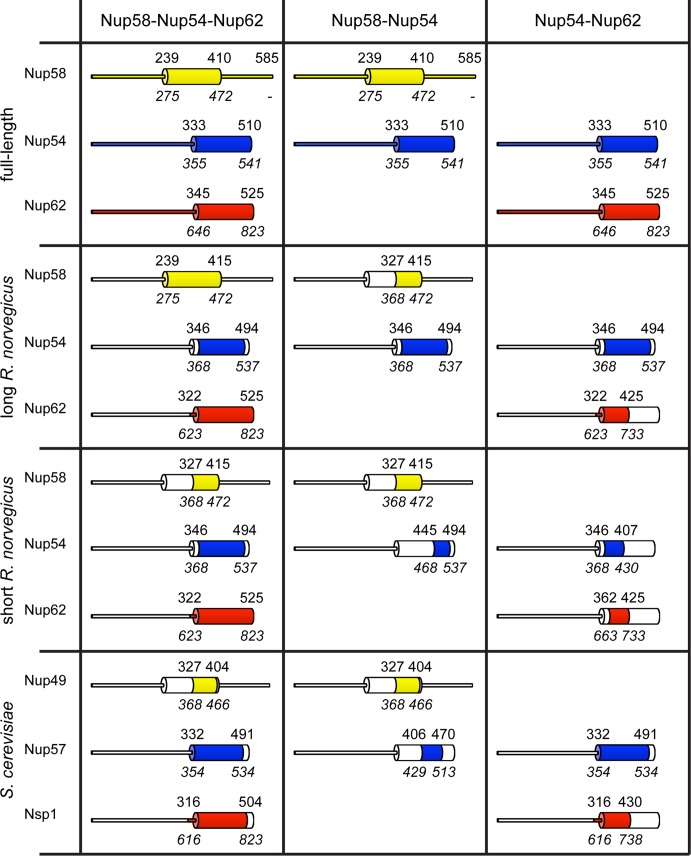 FIGURE 1: