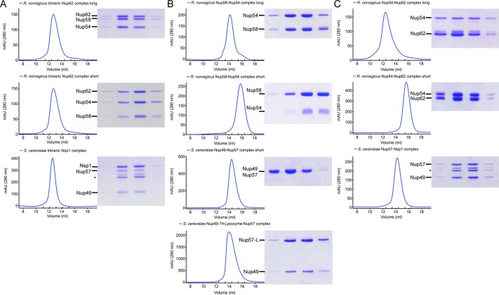 FIGURE 2: