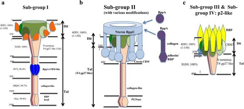 Fig. 5