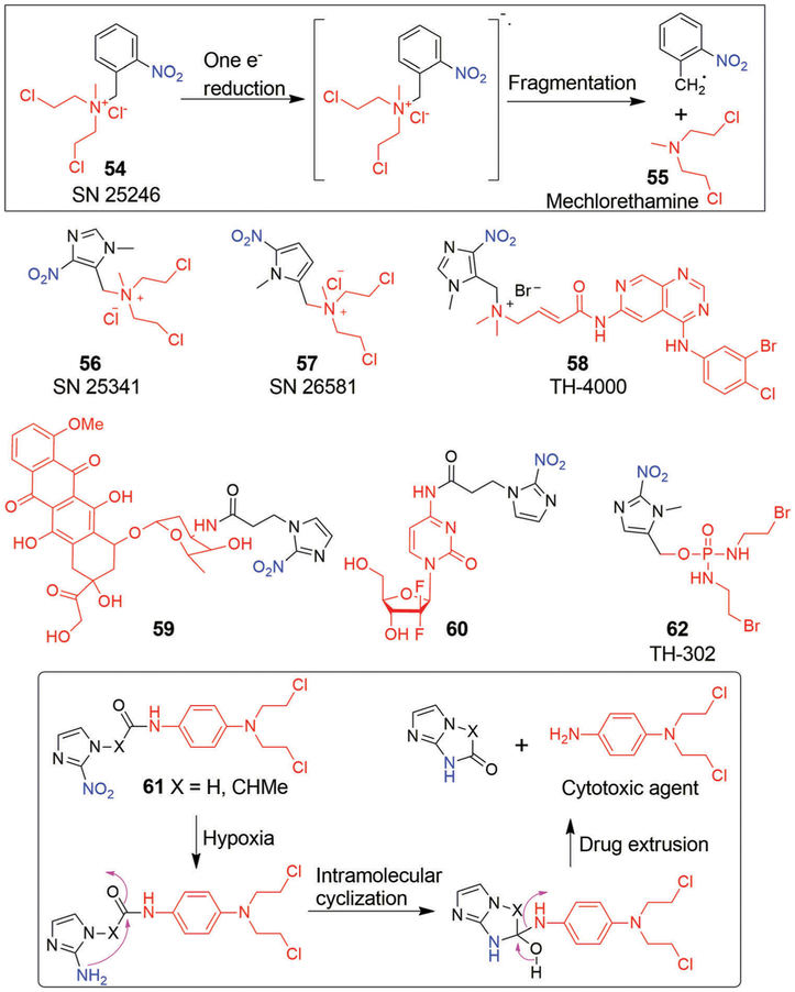 Fig. 12