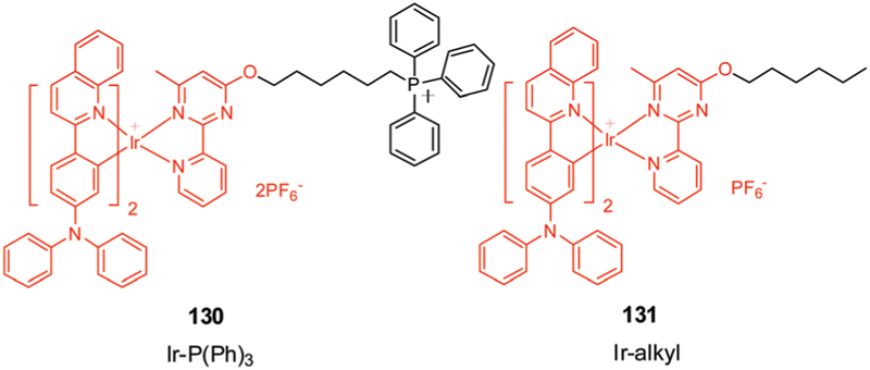 Fig. 27