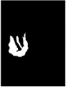 graphic file with name IJBI2019-7305832.tab2.i016.jpg