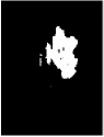 graphic file with name IJBI2019-7305832.tab2.i020.jpg
