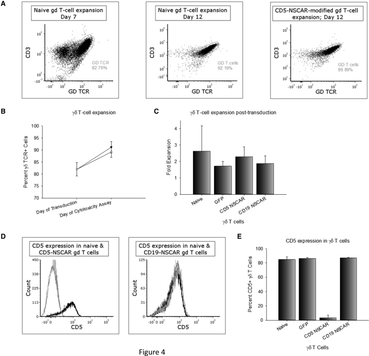 Figure 4