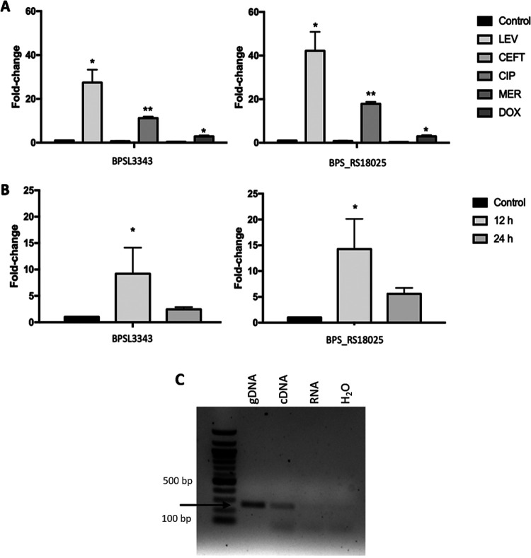 FIG 2